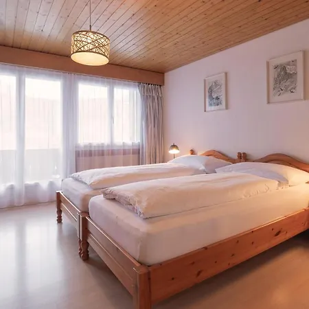 جونغفراو لودج شقة *